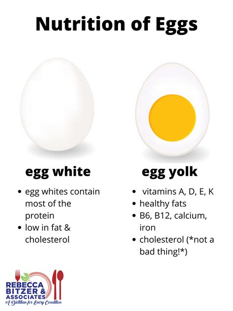 Egg Whites Vs Whole Egg Rebecca Bitzer And Associates