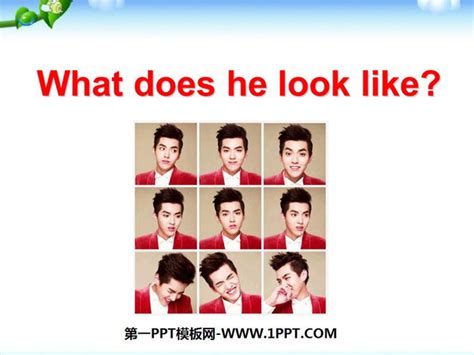 《what Does He Look Like》ppt课件3 第一ppt