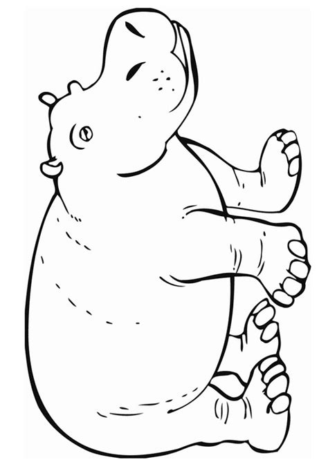 Free Hippopotamus Hippo Coloring Page Zoo Animal Coloring Pages