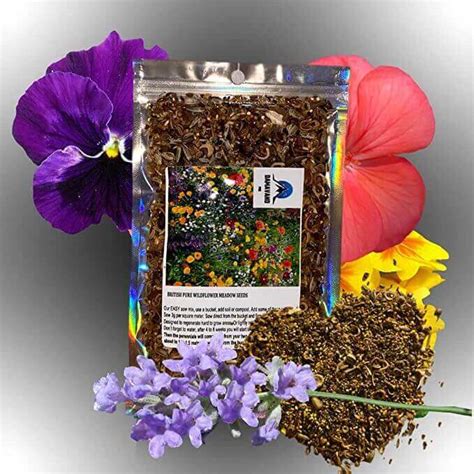 Wildflower Seed Plants Attracts Bees Butterflies 250g