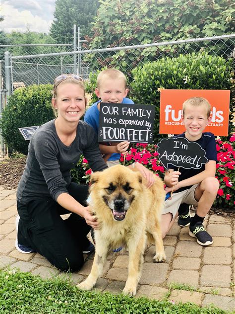 Watch YouTube Star MrBeast Make History at Furkids! | Furkids - Georgia