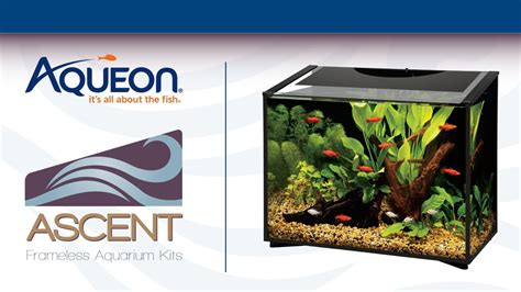 Aqueon Ascent Frameless Aquarium Kit Modern Fish Tank Youtube