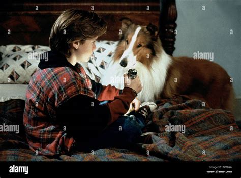 Lassie 1994 Thomas Guiry Banque Dimage Et Photos Alamy