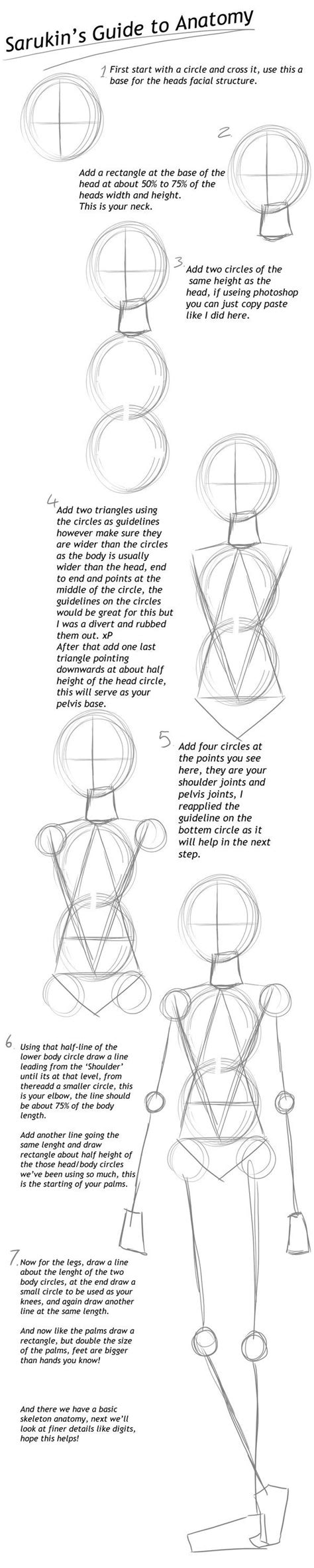 Basic Anatomy Guide By Sarukin On Deviantart Drawing People Anatomy