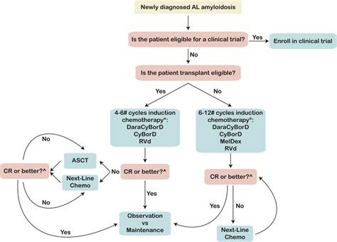 Algorithm For Treatment Approach To Newly Diagnosed Al Amyloidosis
