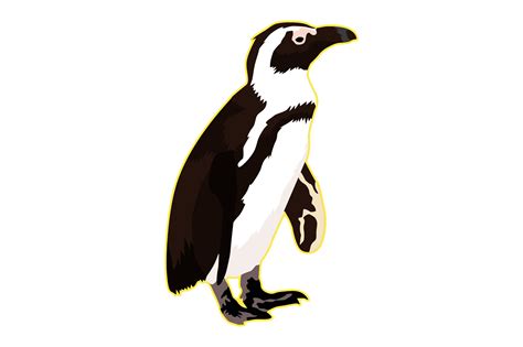 Penguin Illustrations Graphic By Graphicrun123 · Creative Fabrica