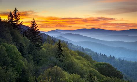 Great Smoky Mountains National Park to Reopen Soon!The Official Pigeon ...