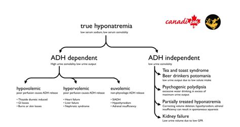 Salim R Rezaie Md On Twitter When And How To Treat Hyponatremia Via