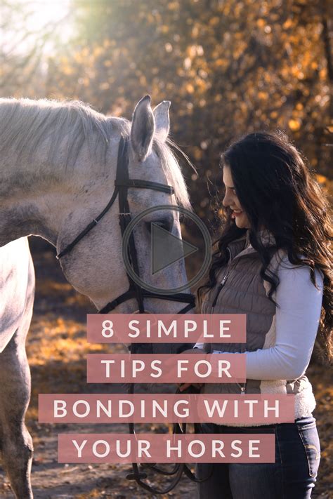 8 Simple Tips For Bonding With Your Horse Horses Horse Exercises