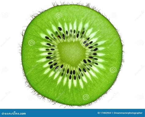 Kiwi Fruit Slice Backlit Stock Photo Image Of Beauty 17482904