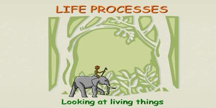 We did not find results for: Life Processes and Living Things - Assignment Point