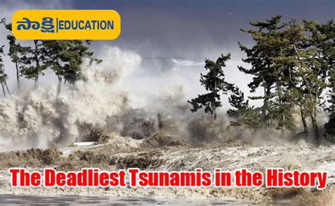 The Deadliest Tsunamis In The History