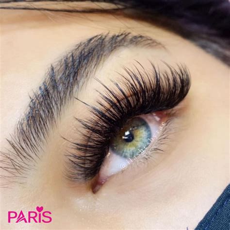 Paris Lash Academy Promade Fans 10d And 14d D Curl Spikes 2 3d Unfanned