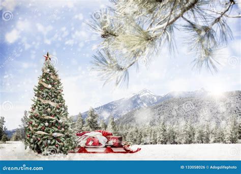 Snowy Outdoor Christmas Tree Scene In Mountains Stock Photo Image Of