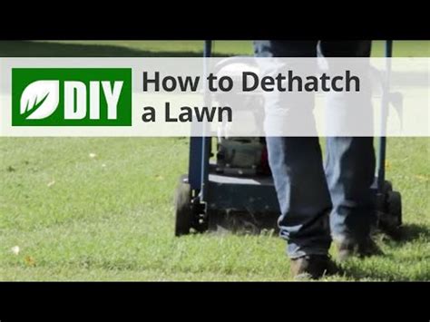 Another good way is to take a dinner fork (an old one!) and scratch a small patch in the lawn. How to Dethatch a Lawn - Dethatching Tips - YouTube