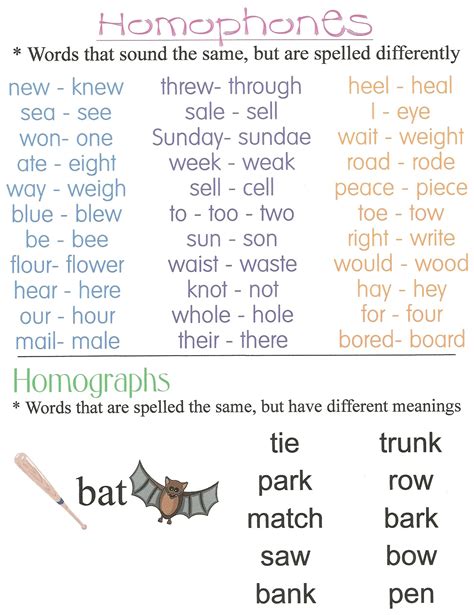 Homophones And Homographs ~anchor Chart Jungle Academy Learn English