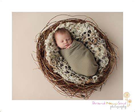 Organic Realistic Birds Nest Photo Prop Material Option A Baby Photos