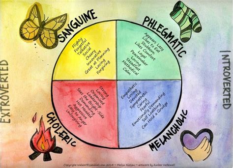 Store - Waldorf Essentials - | Steiner waldorf education, Waldorf