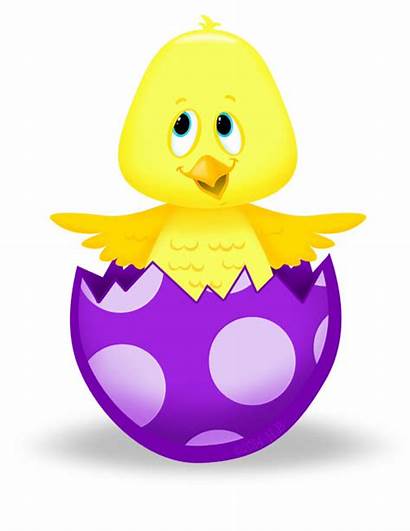 Hatching Chicks Chick Easter Egg Clipart Eggs