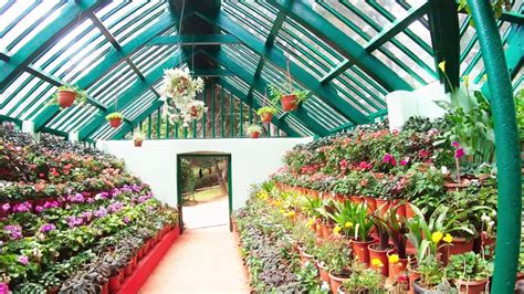 Glass House At Botanical Garden Ooty Youtube