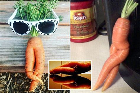 These Pics Of Sexy Carrots Will Definitely Make You Look Twice The