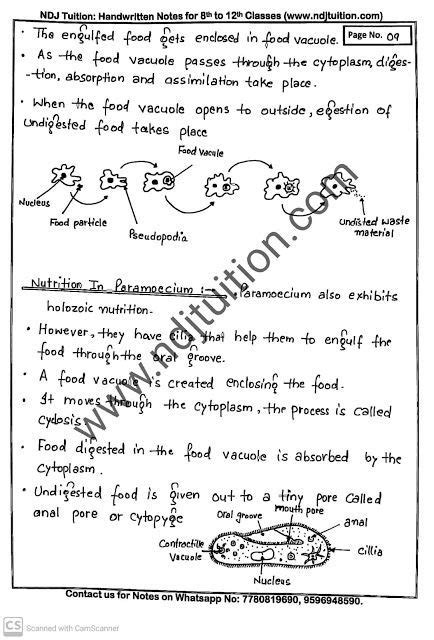 Life Processes Handwritten Notes For Class 10th Artofit