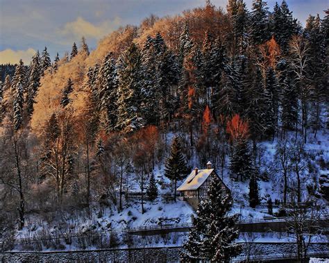 Black Forest Winter Photograph By Daniel Koglin Fine Art America