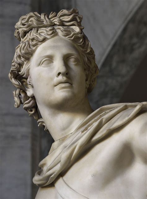Apollo Belvedere Close Up Rome Vatican Museums Pius Clementine