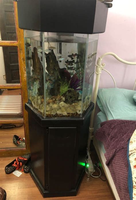 30 Gallon Hexagon Fish Tank For Sale In Redlands Ca Offerup
