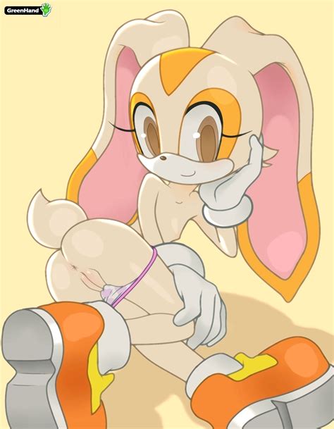 Post Cream The Rabbit Sonic Team Sonic The Hedgehog Aval Nx Sexiz Pix