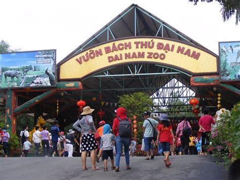 Thành viên hội đồng thành viên đại diện phần góp vốn của tổng công ty bình dương tại công ty tân phú, hiện là chủ tịch hội đồng quản trị kiêm tổng giám đốc công ty tnhh mtv đầu tư và quản lý dự án. KHU DU LỊCH ĐẠI NAM BÌNH DƯƠNG 2019 CÓ GÌ MỚI - KYIV CITY