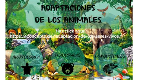 Adaptación de los Animales Edited by ARB Nivel4 5
