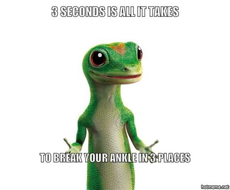 Geico Gecko Meme Generator Make A Meme Online Dental Humor Dog