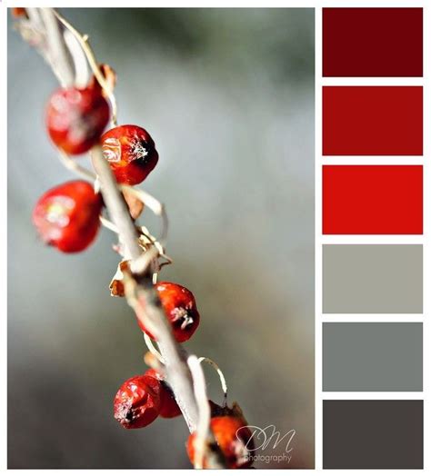 Red And Grey Does Work For A Color Palette For A Room Red Colour