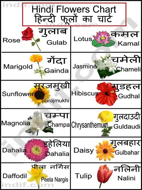 Check spelling or type a new query. hindi flowers chart | Partager les ressources IEF ...
