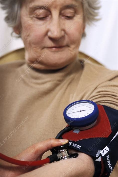 Blood Pressure Measurement Stock Image M5320839 Science Photo