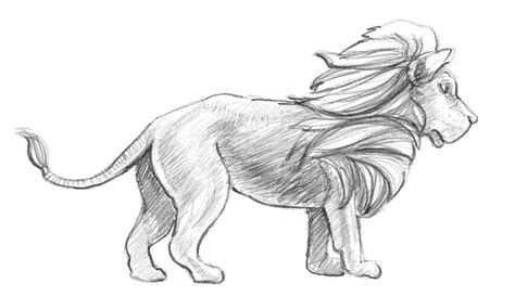 Useful drawing references and sketches for beginner artists. How To Draw a Lion - Step-by-Step