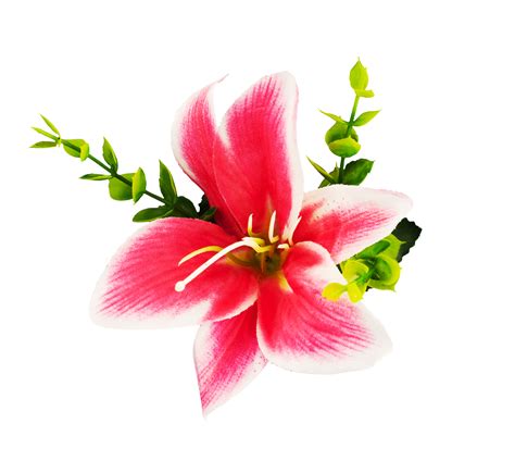 Bouquet Of Pink Lilies With Leaves 26690777 Png