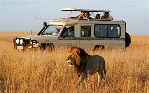 Os 10 Melhores Fornecedores De Safári De 2018 Safari Travel Kenya