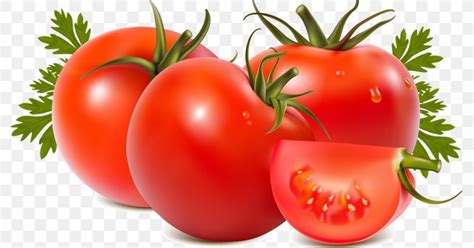 Tomato Cartoon Png 1200x630px Vegetable Bell Pepper Bush Tomato