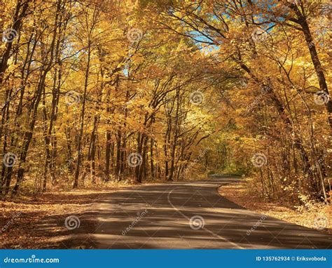 Windy Asphalt Road In Forest Nature Landscape Autumn Forest In