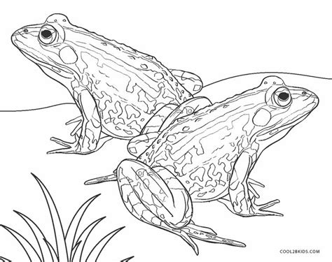 Realistic frog coloring pages for kids. Free Printable Frog Coloring Pages For Kids | Cool2bKids