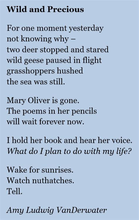 Pin On Mary Oliver