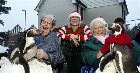 Penguins Spread Festive Cheer At Essex Care Home With Christmas Carol