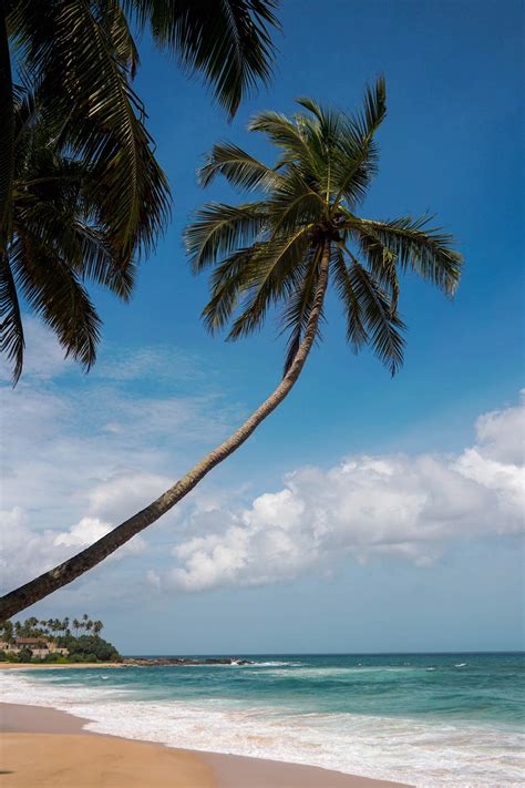 Шри ланка в индийском океане у юж. Tangalle (Sri Lanka) as a digital nomad destination - IN ...