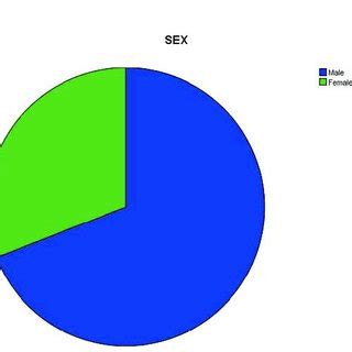 S A Pie Chart On Sex It Reflects That Of The Respondents Were Hot Sex