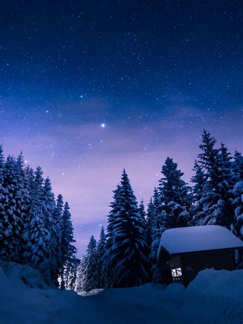 Free Download Stars Night Snow Forest House Wallpapers Stars Night Snow