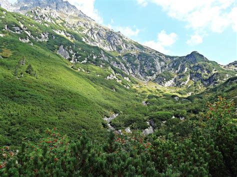 Besplatna Slika Planine Krajolik Oblak šuma Priroda Brda Doline