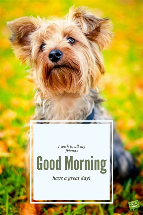 Good Morning Wishes With Dogs Pictures Images Page 5