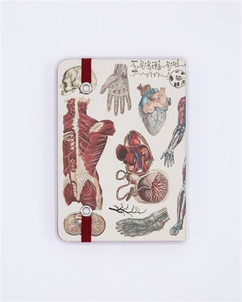 Anatomy And Physiology Observation Mini Softcover Notebook Cognitive